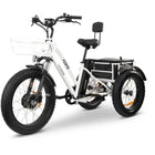 GoBike FORTE Electric Tricycle