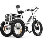 GoBike FORZA Electric Tricycle
