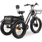 GoBike FORTE Electric Tricycle