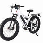 X-Treme Rocky Road 48 Volt 17 Amp Fat Tire Electric Mountain Bicycle