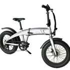Glion B1 Fat Tire Folding Electric Bike