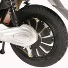 X-Treme Cabo Cruiser Elite 48 Volt Electric Bicycle Scooter