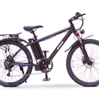 EWheels EW-Rugged Electric Mountain Bike